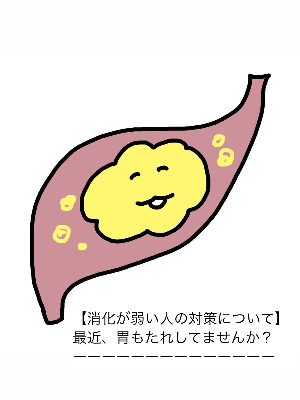 【消化について】

私たちの体は食べたもので
できているのではなく
食べたものが【消化・吸収】されて初めて
体の栄養になっていきます

消化がめちゃくちゃ大切なんです